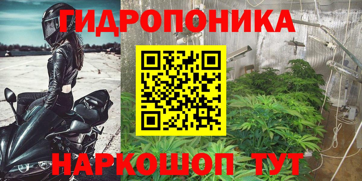 Каннабис MAZAR Сухой Лог